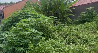 🏠 FOR SALE: 100sqm Residential Lot in Dolmar Golden Hills