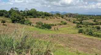 Lot for sale in tagaytay – The Meadows Tagaytay