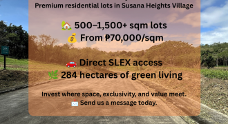 What’s Coming to Susana Heights Estate?