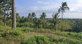 1‑Hectare Flat & Rolling Estate Near Tagaytay – All‑In