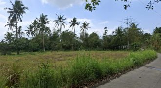 4,922 sqm Flat Farm Lot Near Tagaytay – Rush Sale