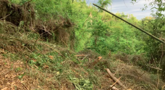 Pre-Selling Lots in Central Business District of Brgy. Sevilla San Fernando City La Union