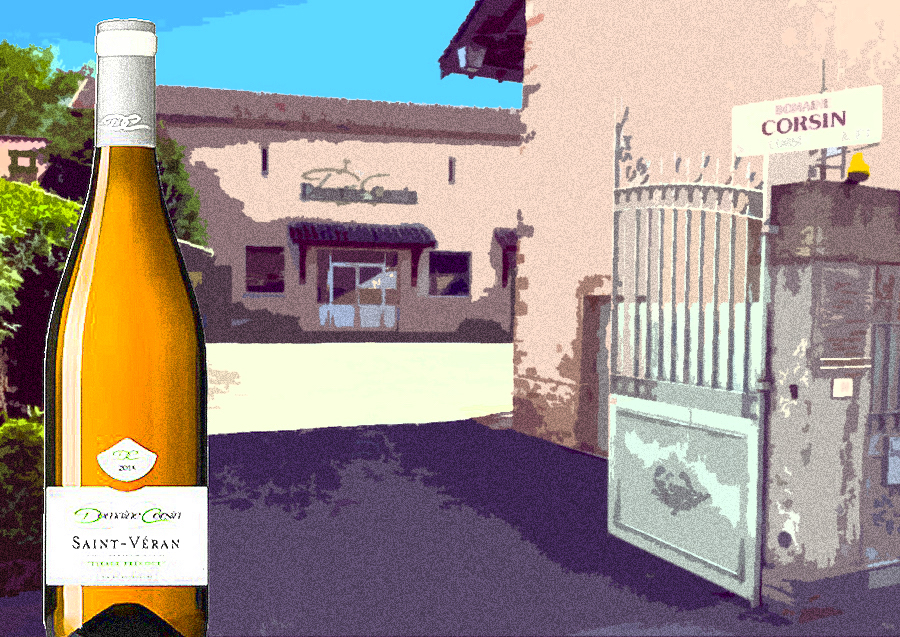 Domaine Corsin vins saint véran blanc tirage précoce