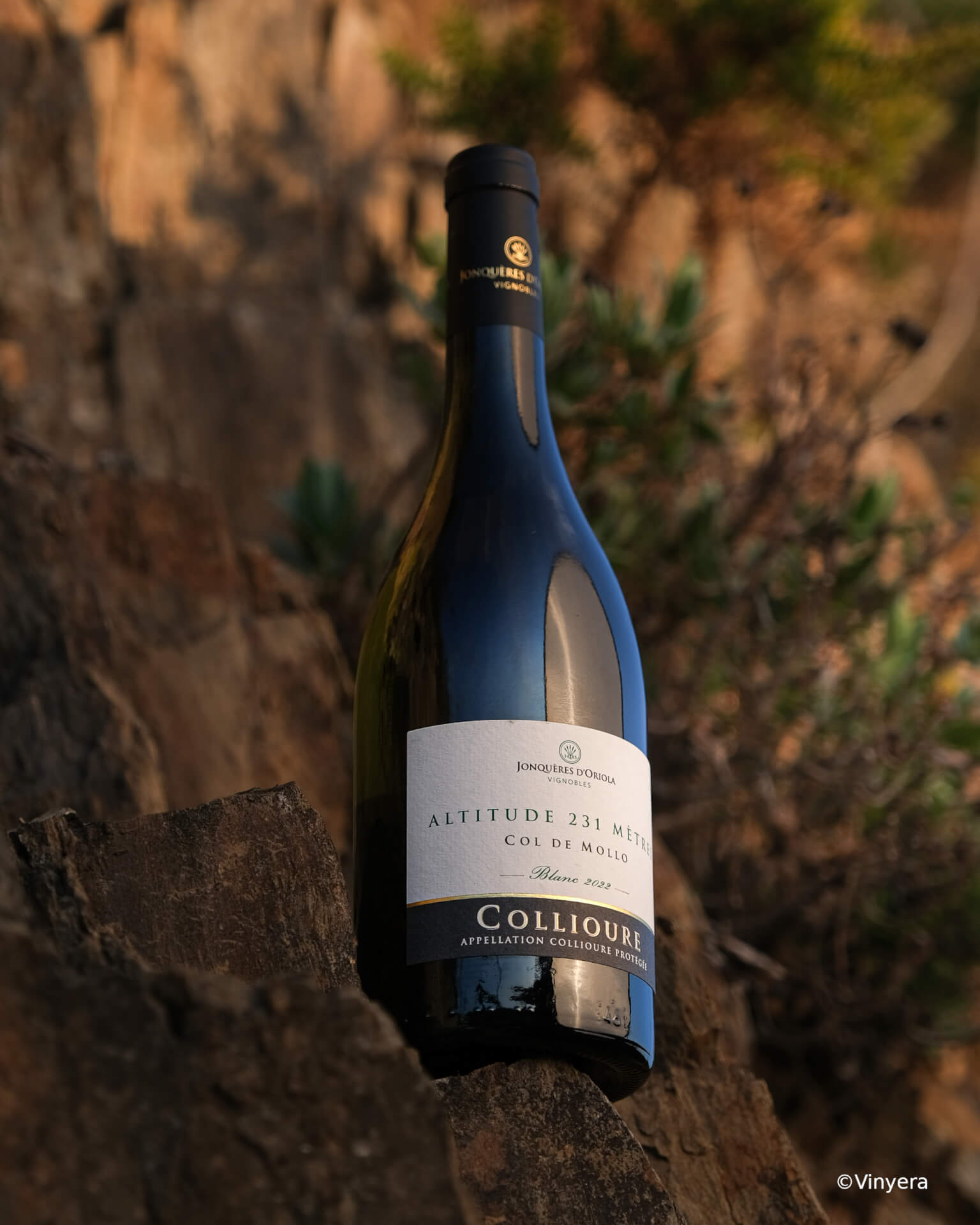Ce Collioure Blanc d&rsquo;altitude est parfait pour accompagner la Cuisine de la Mer