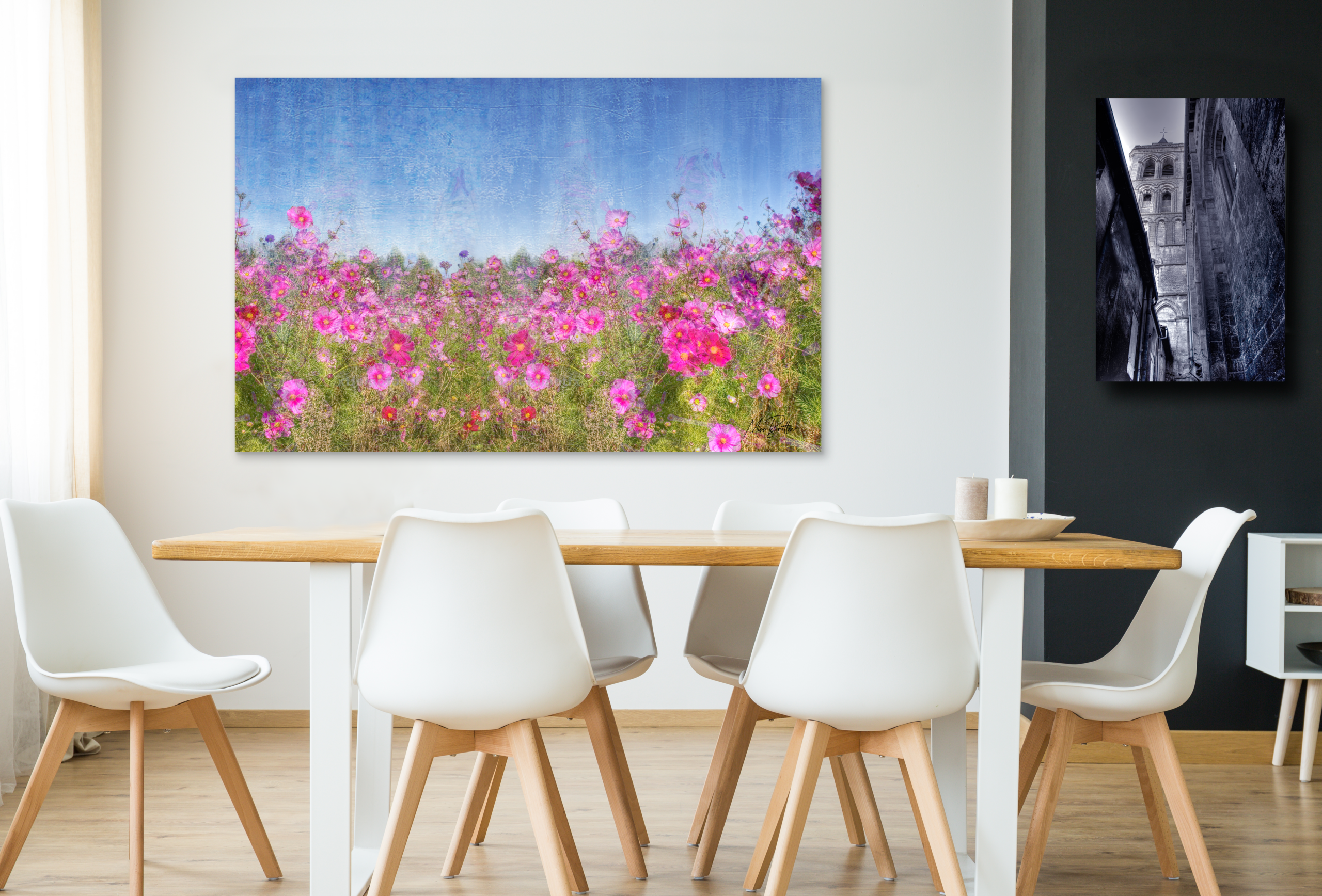 Cosmos Flower Field - Flower art