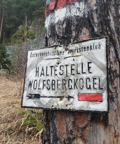 Schild mit Markierung auf einem Baumstamm "Haltestelle Wolfsbergkogel"