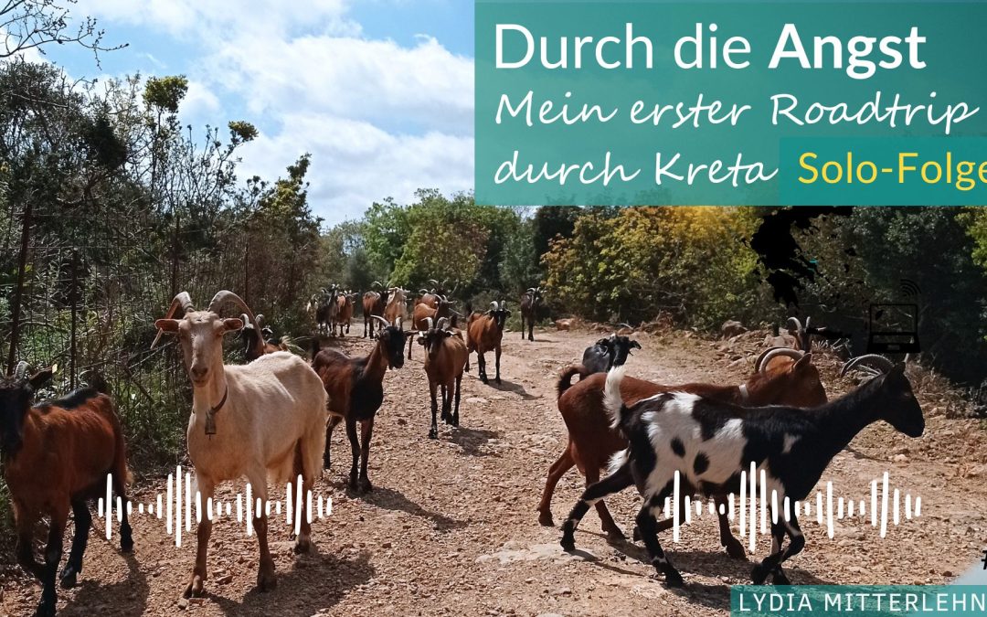 Ziegen auf einer Bergstraße