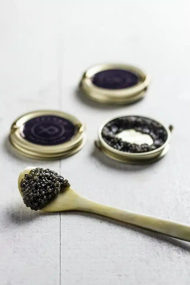 Lyksvad er Danmarks eneste caviar producent