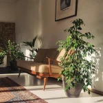 Lynxstudio.Berlin