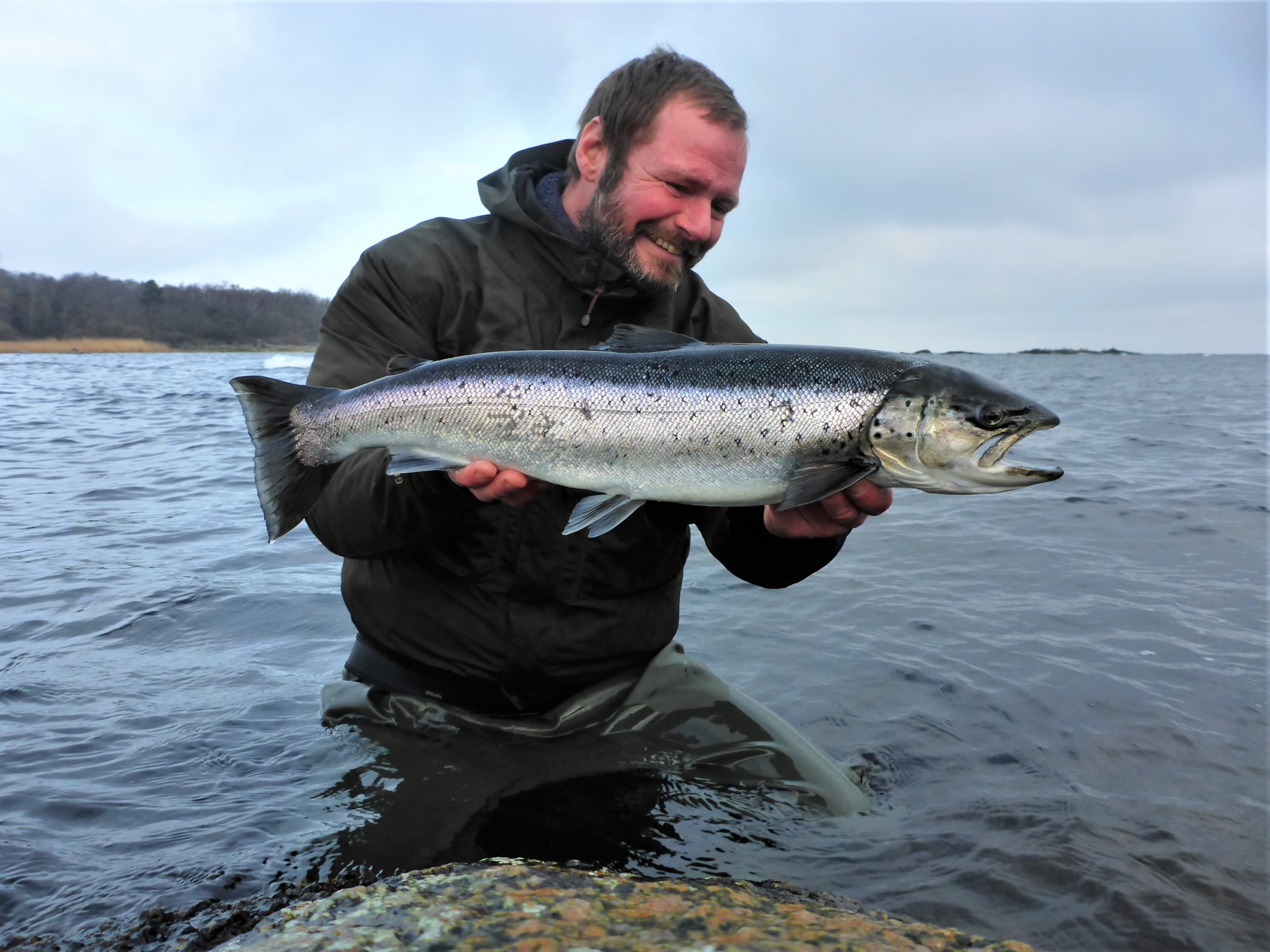 En flot ørred fra Grisby.