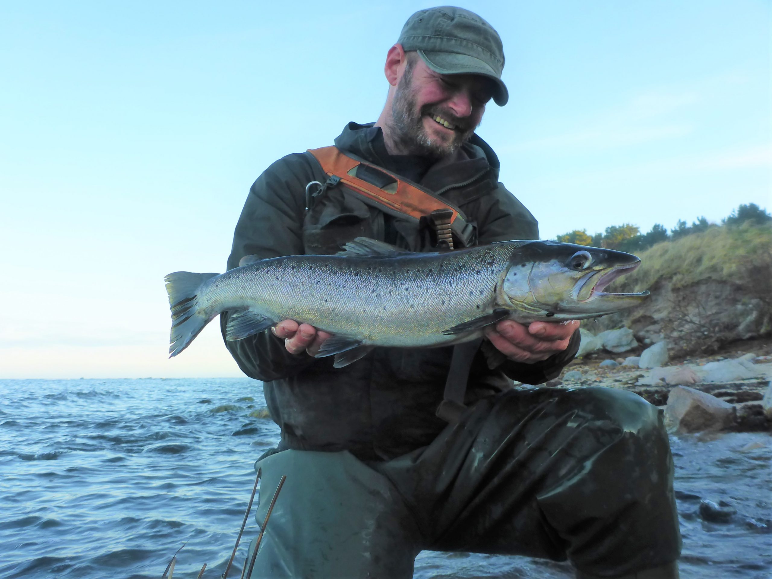 Havørred fra Hasle Strand og Kultippen.