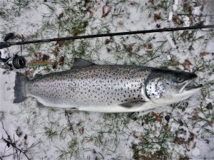 Kystfiskeri om vinteren på Bornholm.