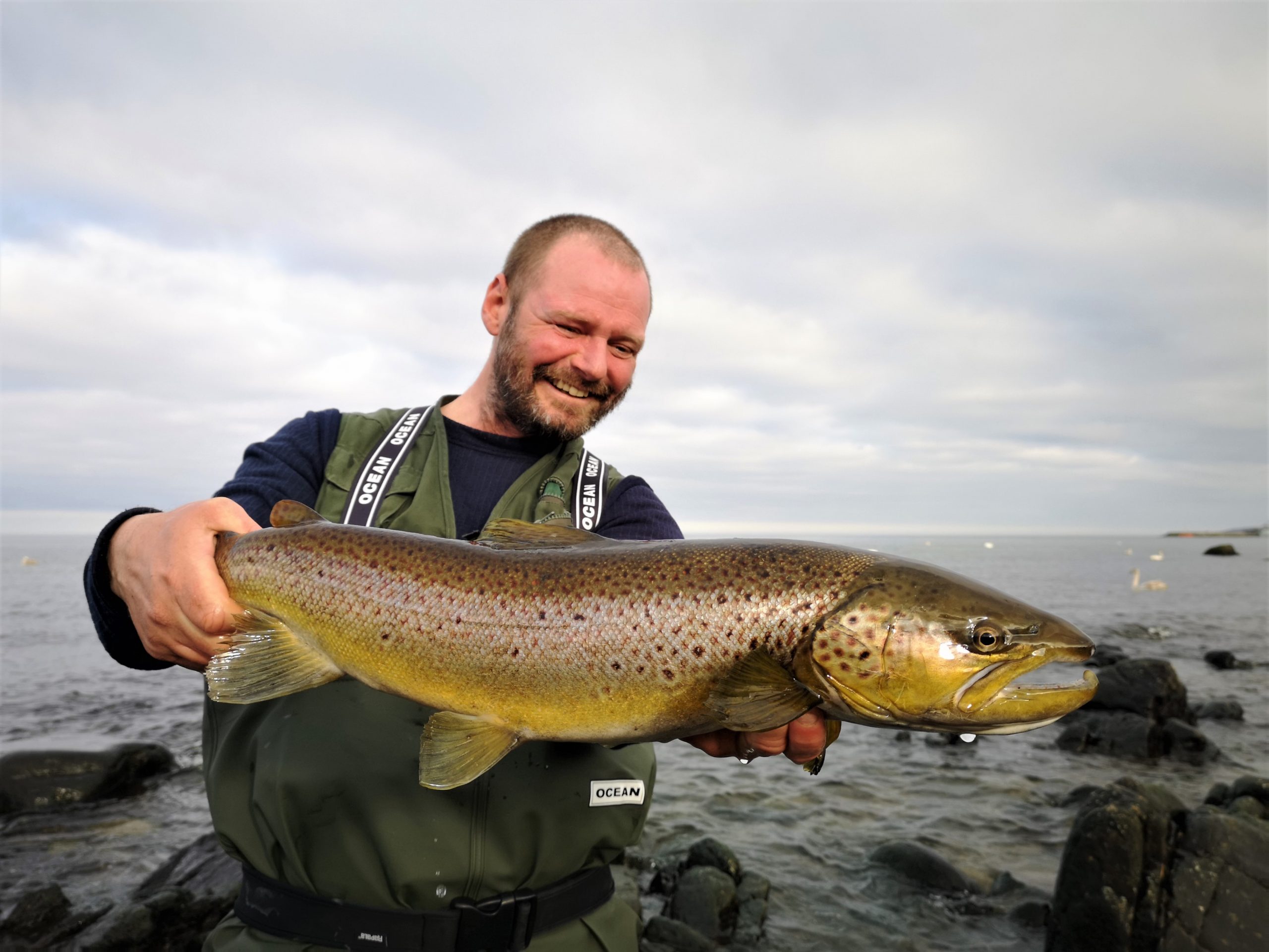 Kystfiskeri på Bornholm efter havørreder