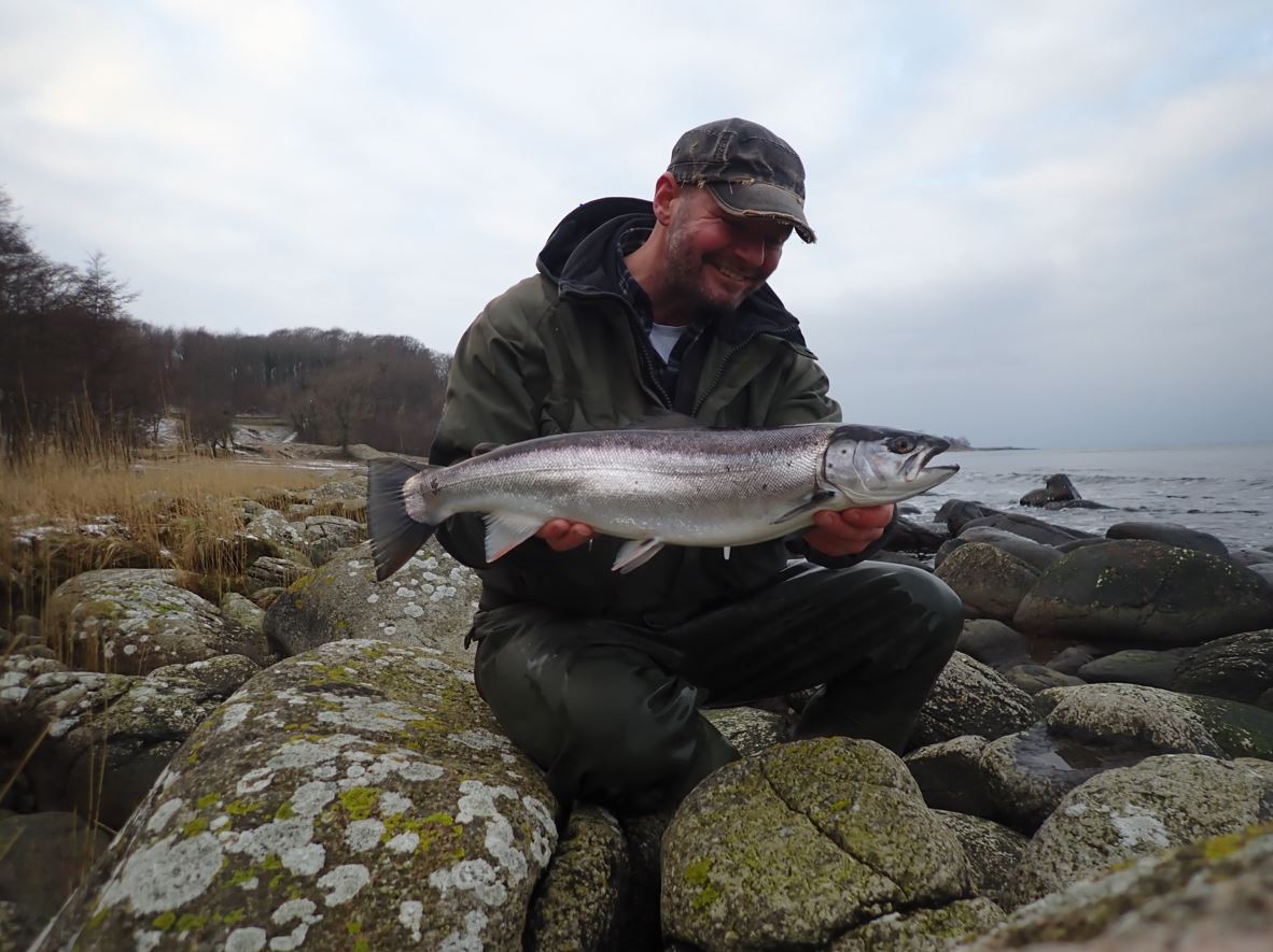 Havørred fra Døndalen i denne fiskevideo