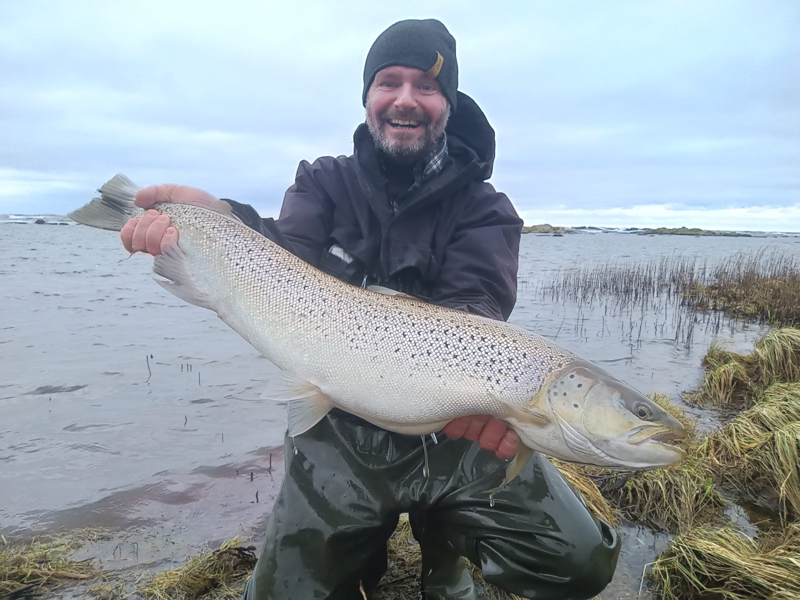 En kæmpe havørred fanges i denne fiskevideo fra Grisby.