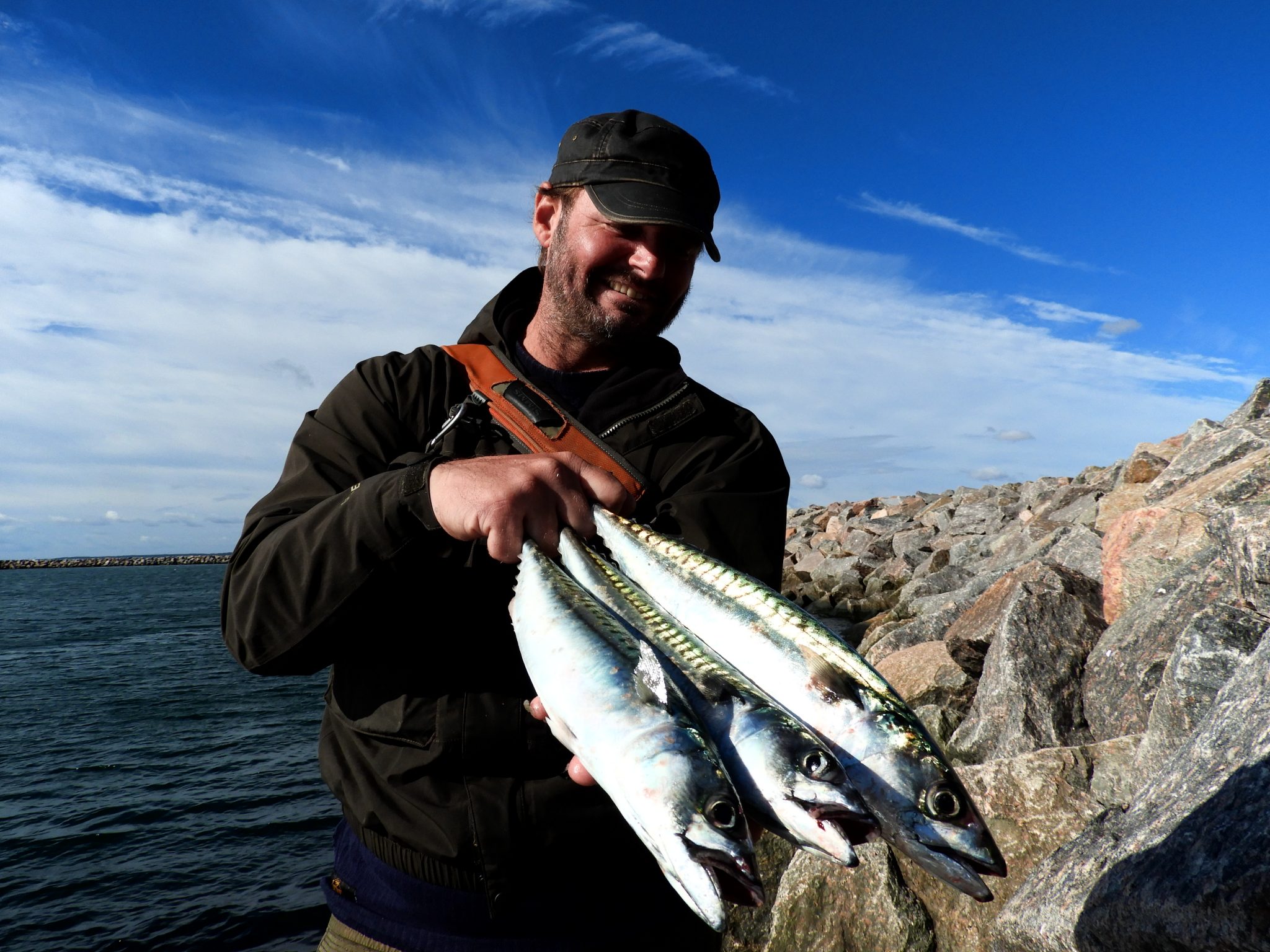 Lystfiskeri efter makrel i Frederikshavn er sjovt og spændende.