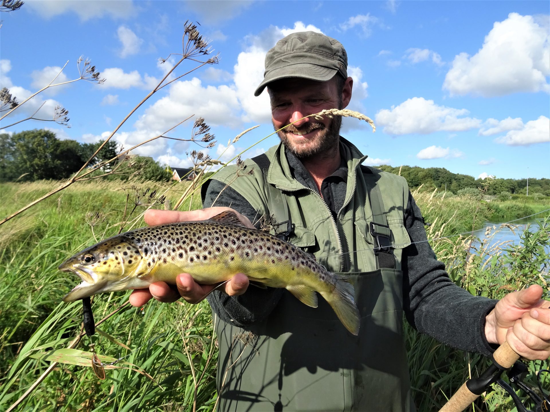 Bækørredfiskeri med spinner i åen