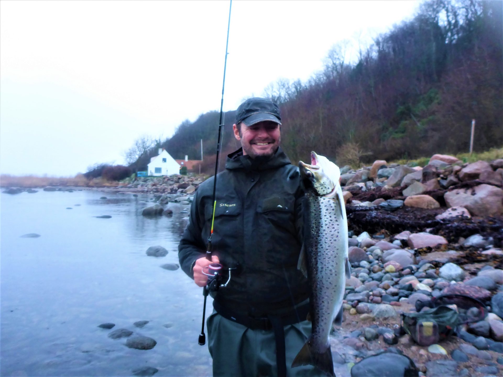 Kystpladser på Vestbornholm.