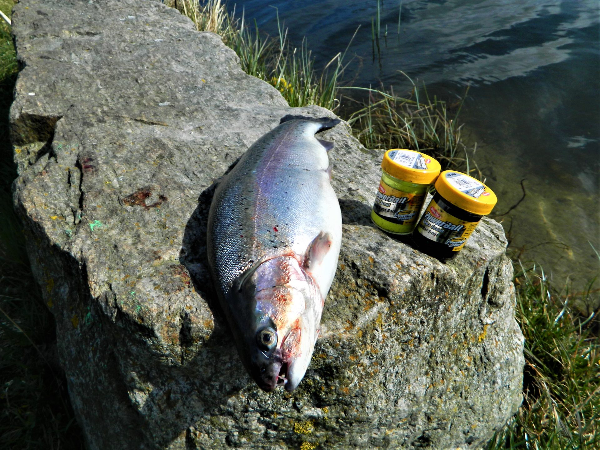 Powerbait og bait generelt...