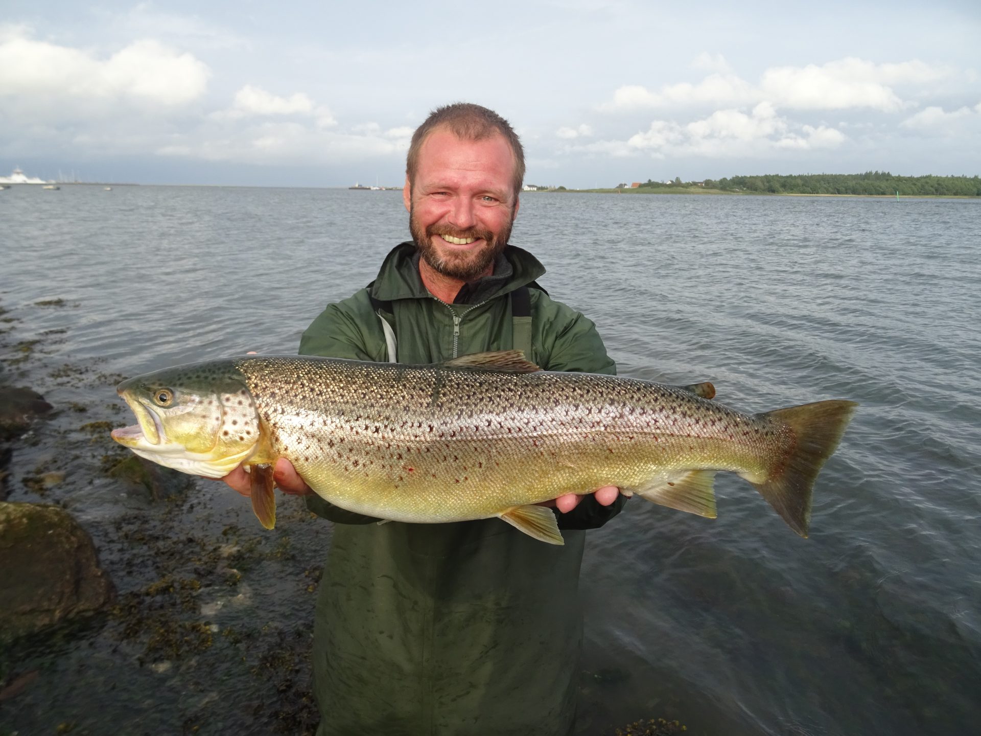 Lystfiskeri efter havørreder ved Randers Fjord Campingstrækningen.