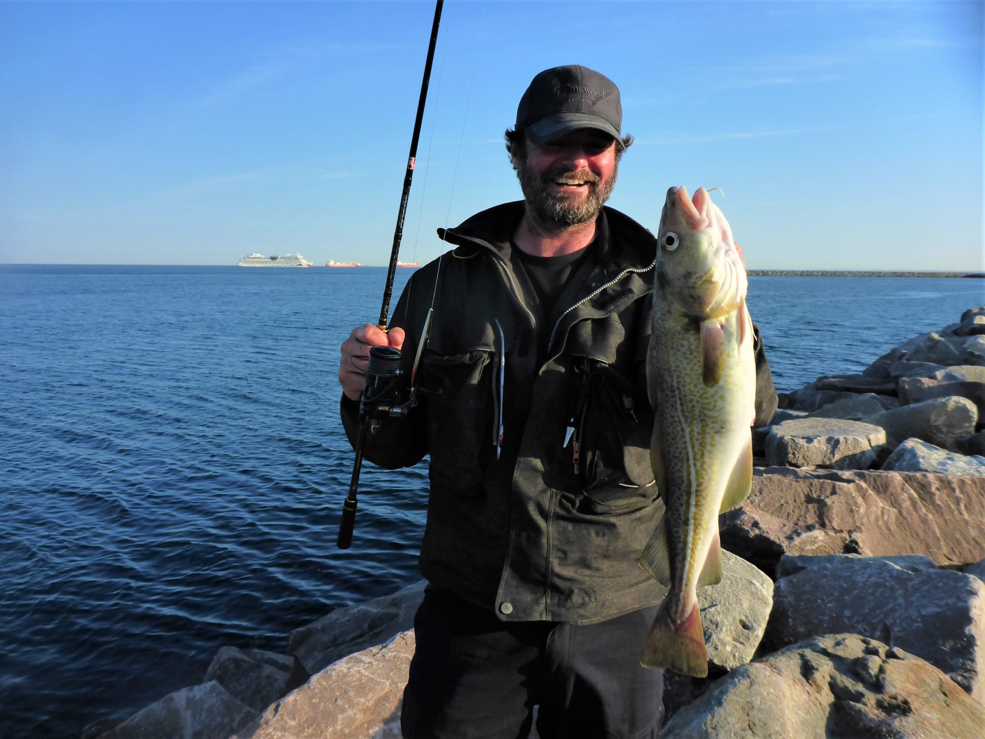 Her er fanget en torsk i Skagen Havn