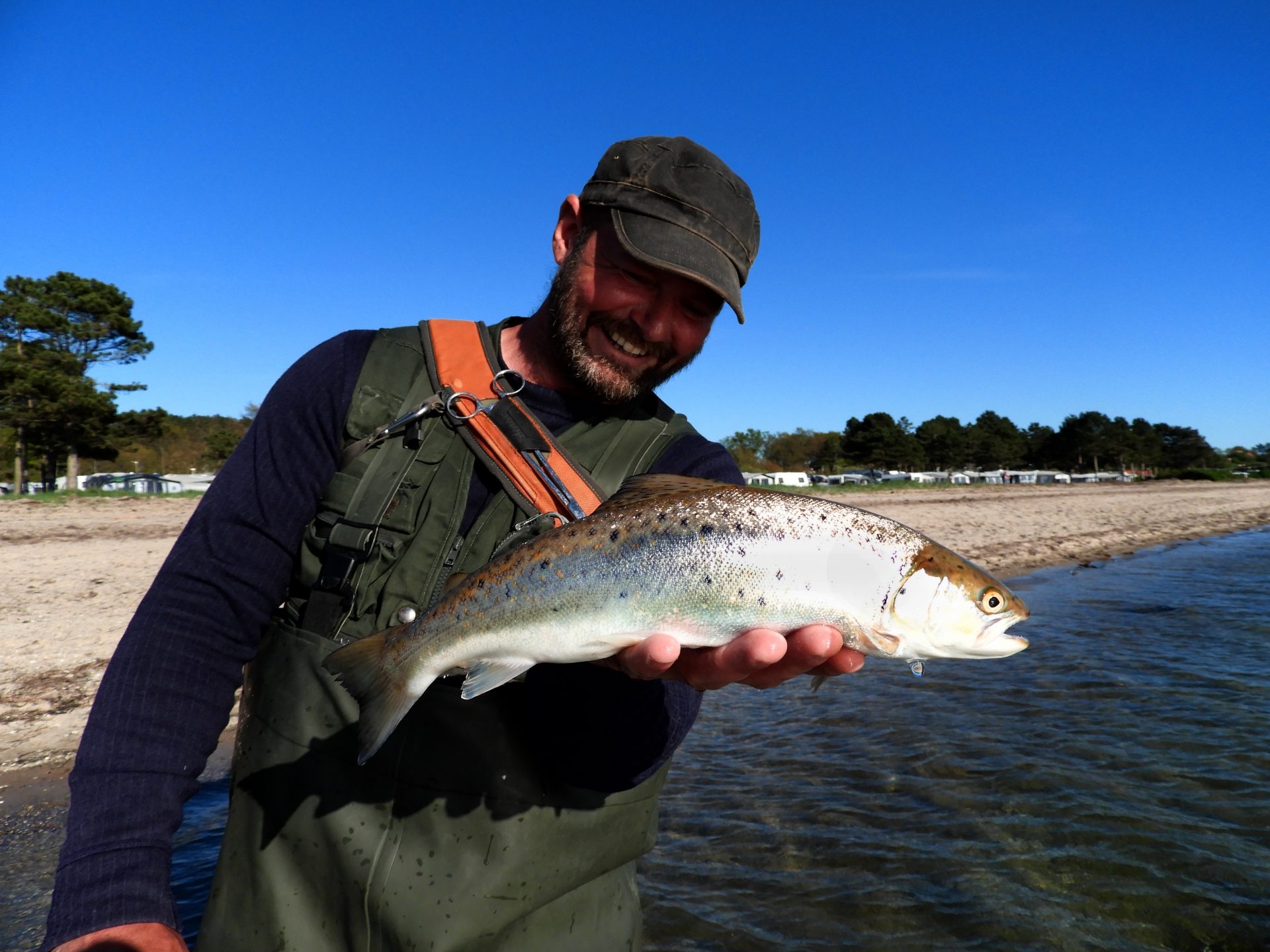 Ebeltoft Strand Campingstrækningen - lystfiskeri