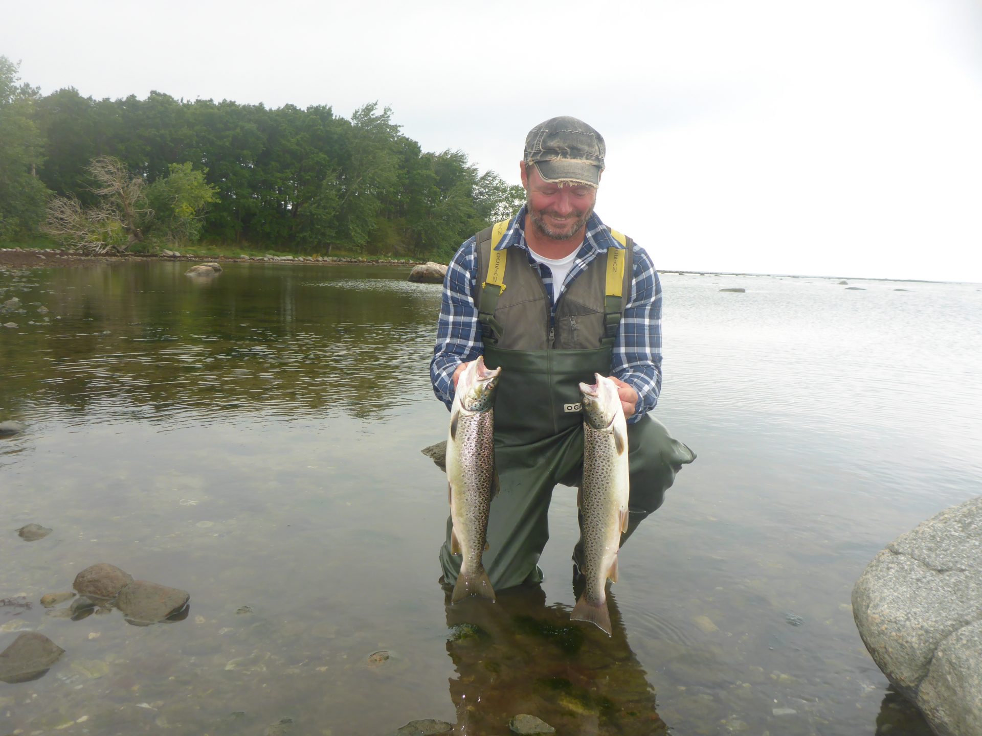 Havørredfiskeri ved Alleshave på Sjælland.