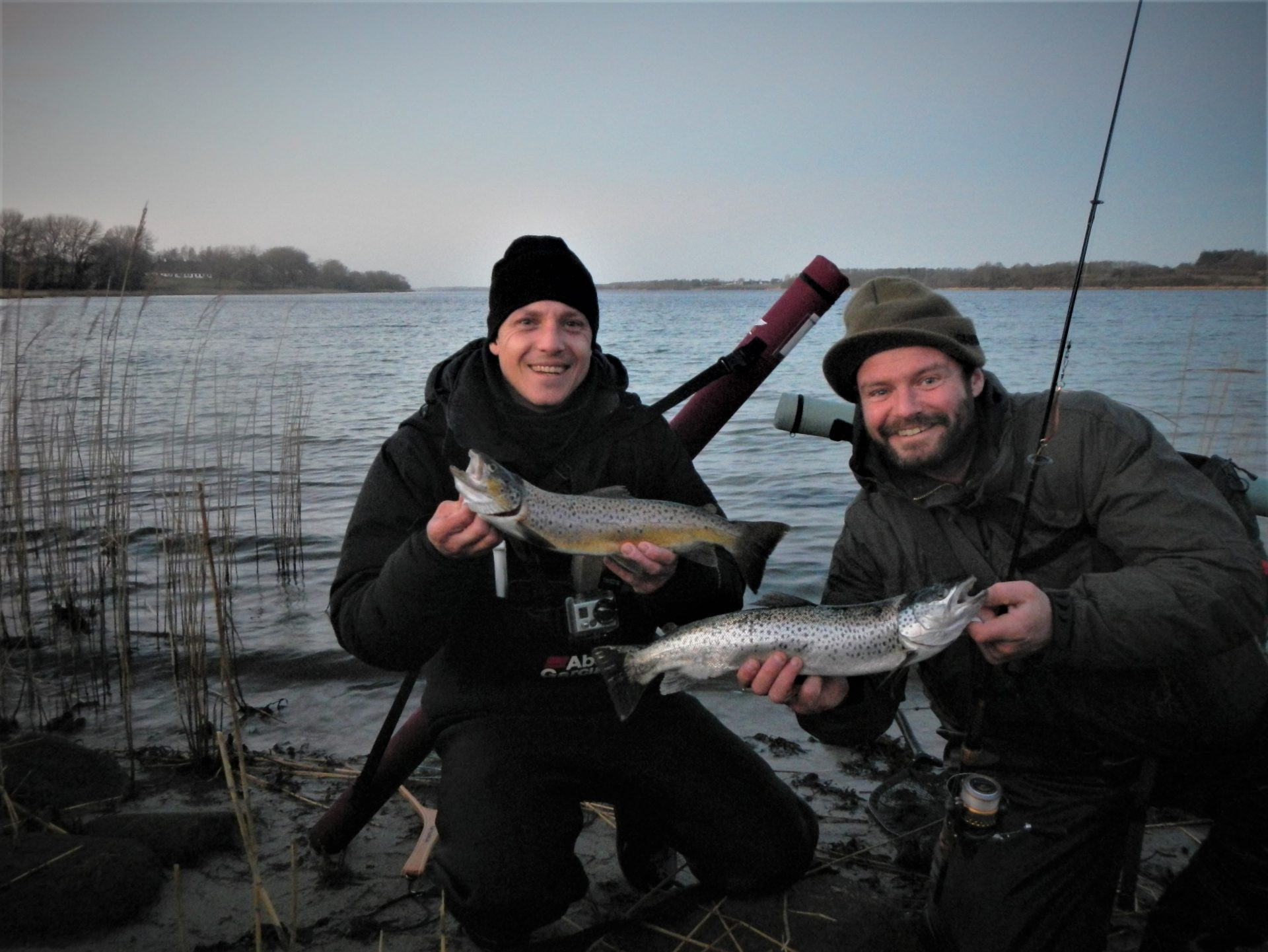 Feddet er en god fiskeplads i Als Sund