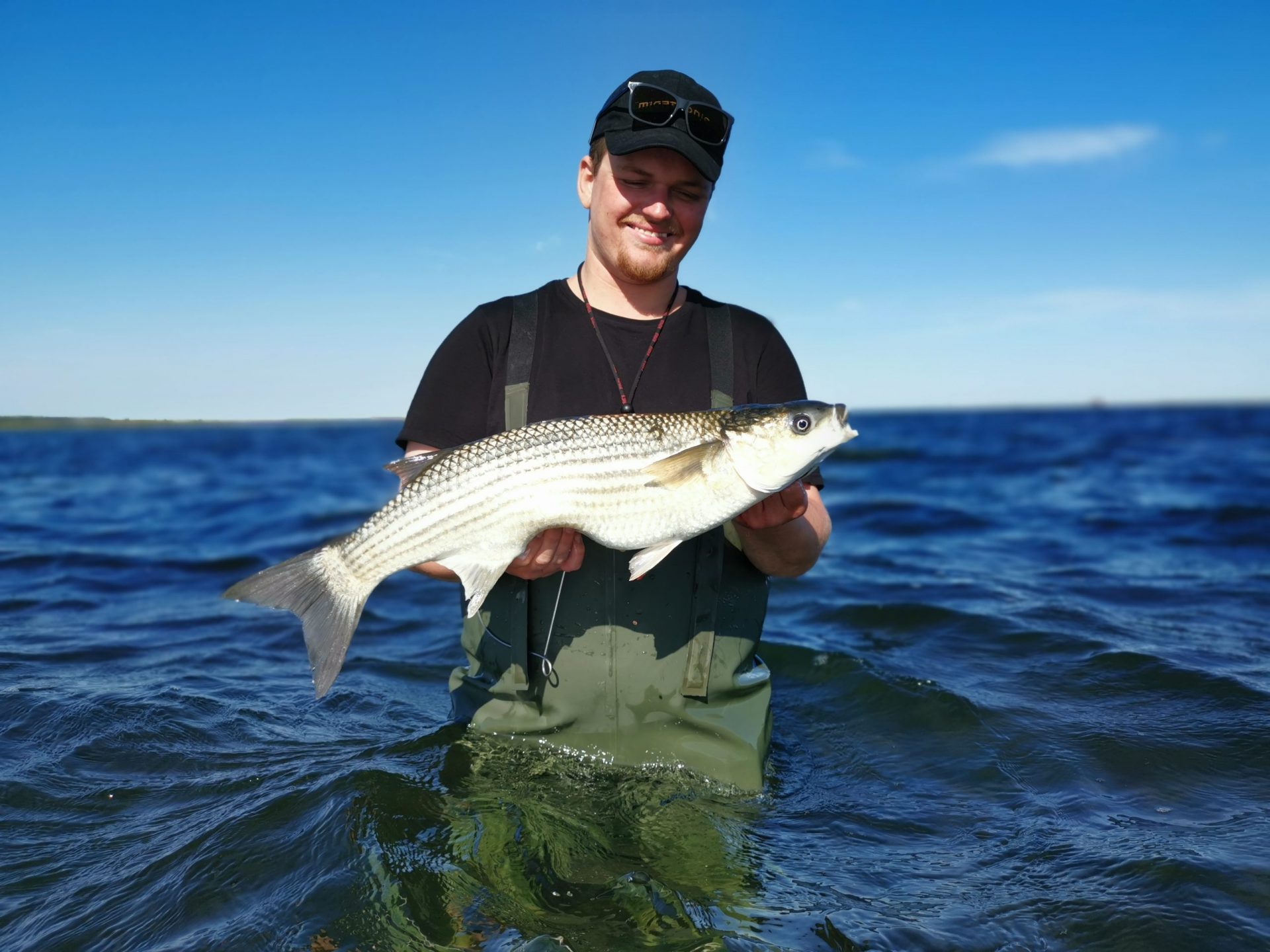 Lystfiskeri i Randers Fjord