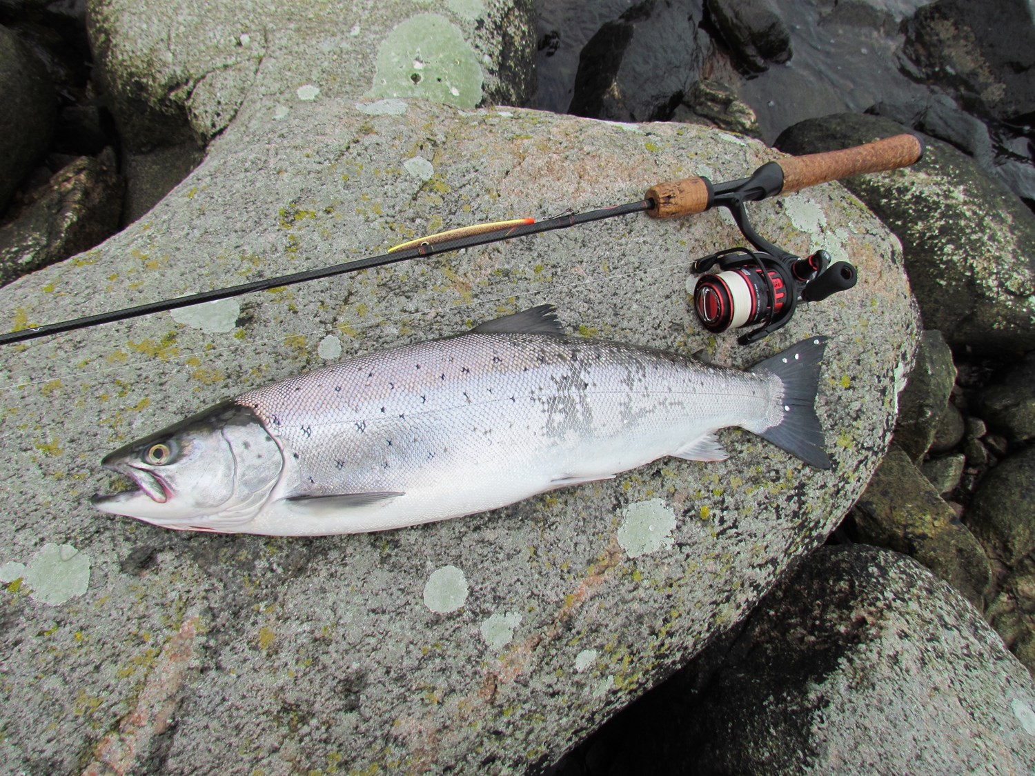 Havørredweekend og fiskekonkurrence på Bornholm
