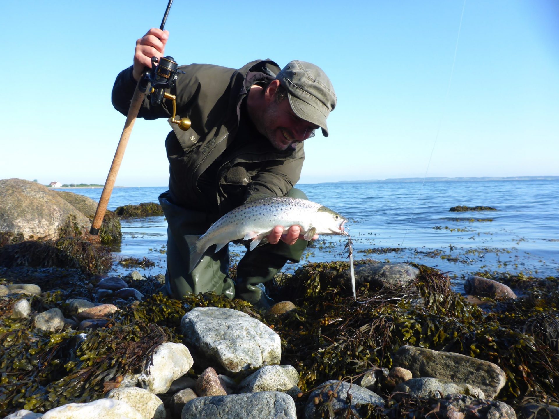Forskov er en helårsplads i Kalundborg Fjord