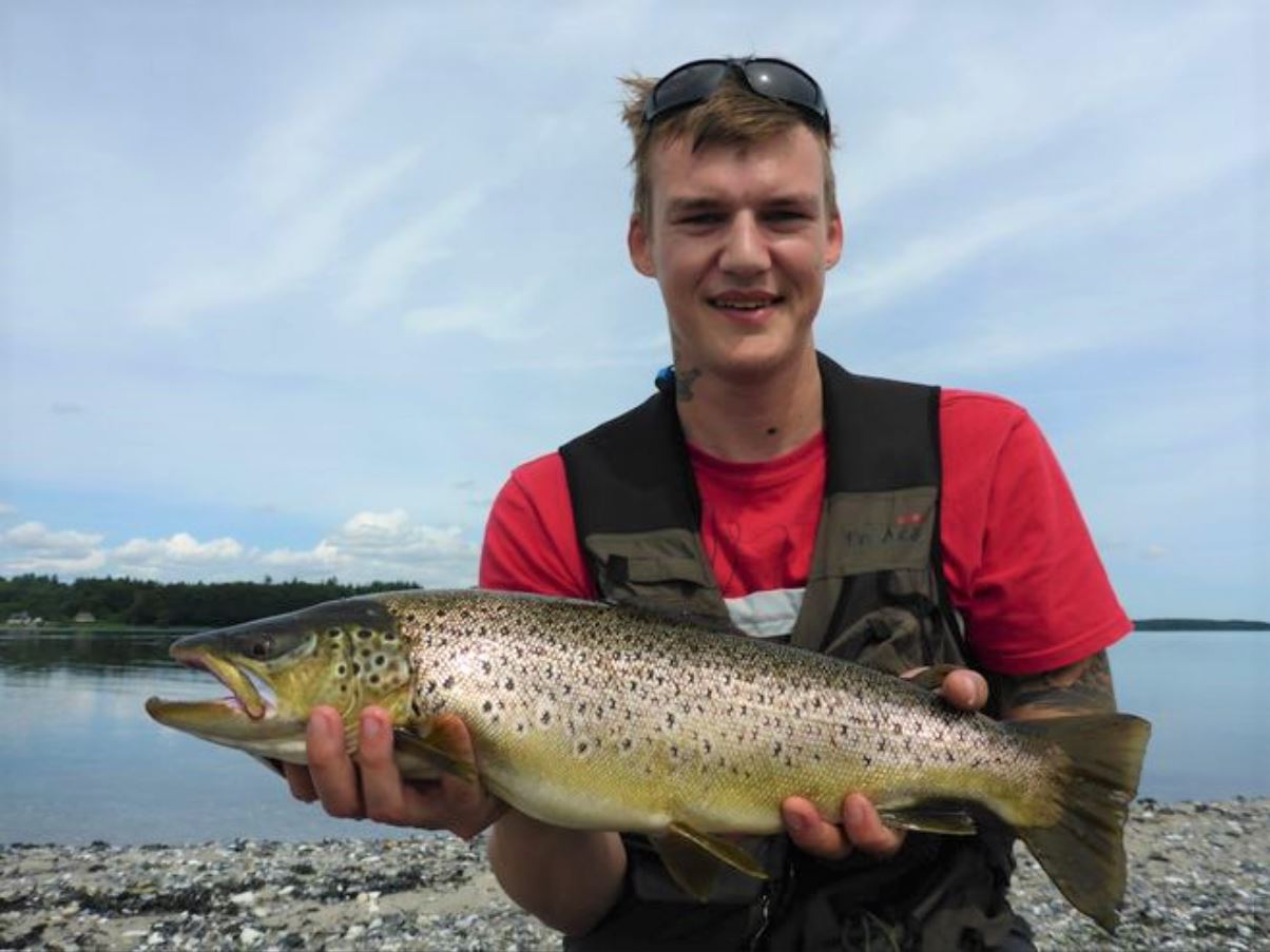 Fang havørreder fra land i Mariager Fjord.