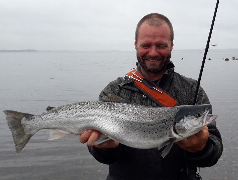 lystfiskeri i Skive Fjord