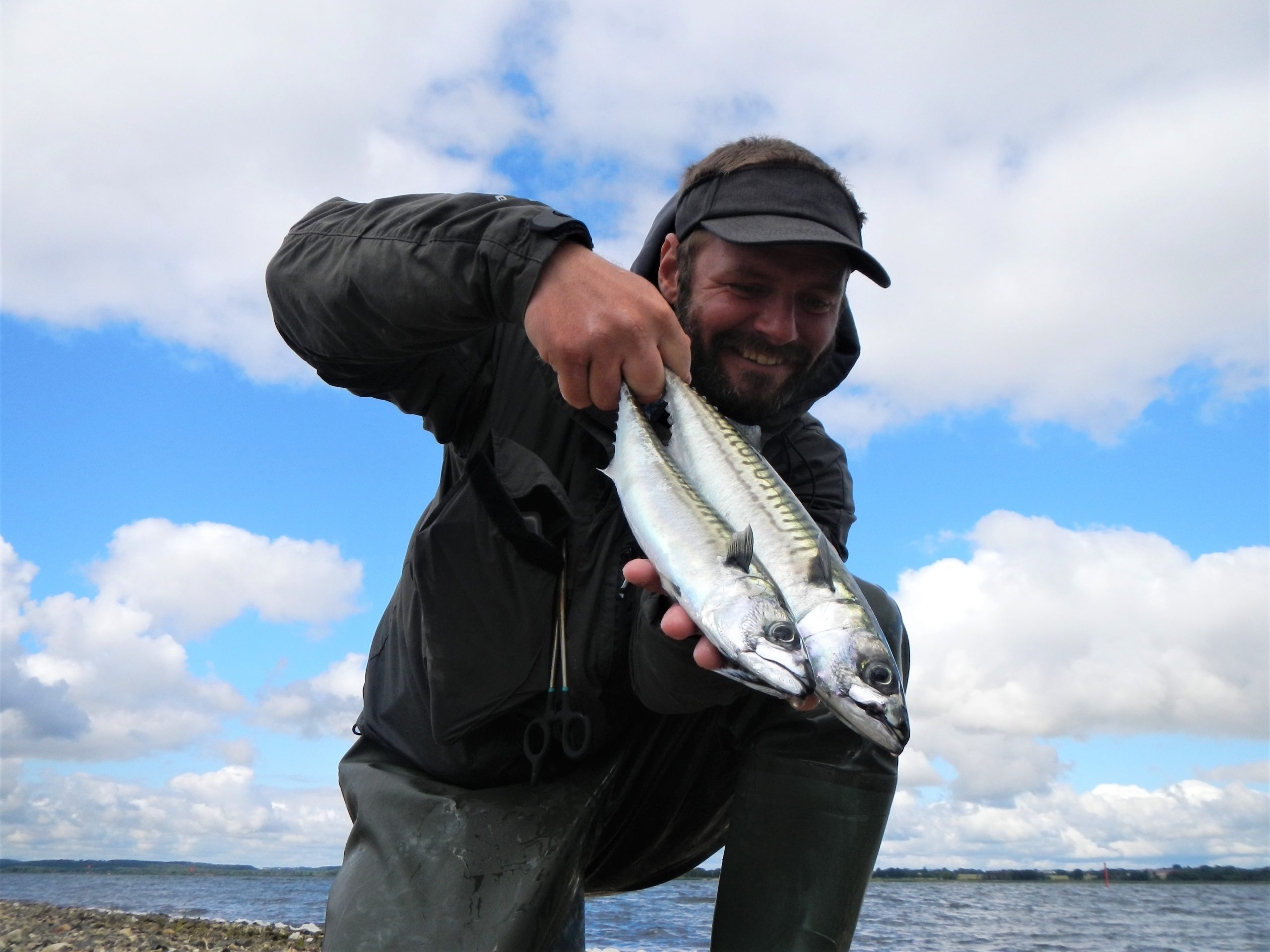 Stenrevet ved Randers Fjord syd