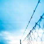 barbed wire