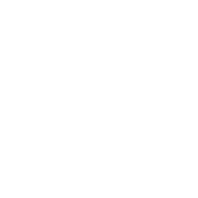 Teambladi - The Mentality Brand