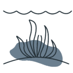 Impact-categories-25 freshwater eutrophication, PEF impact category