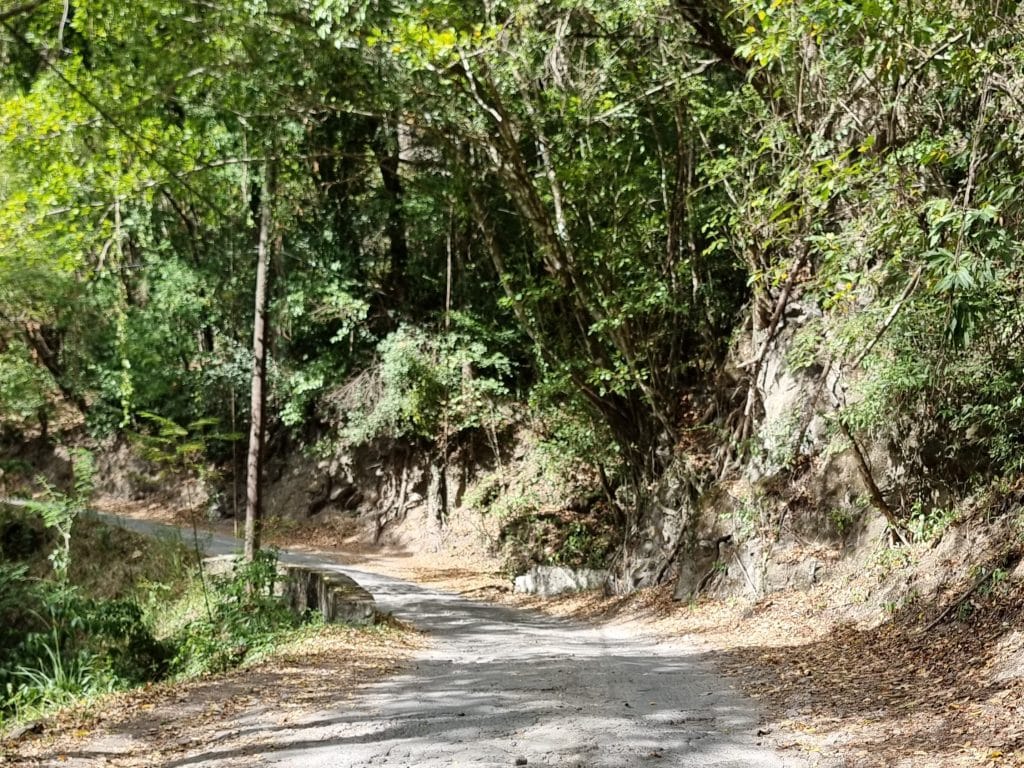 The road to Anse Chastanet