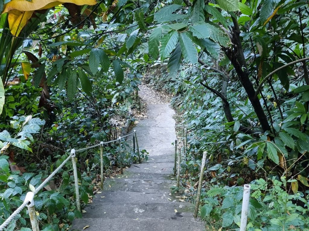 Path to the Piton Falls in Soufrière