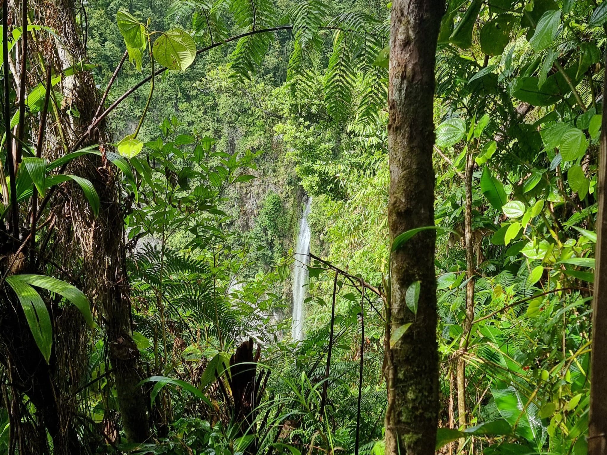 How To Visit The Middleham Falls In Dominica