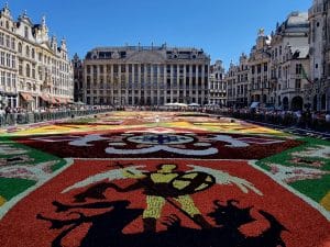 Read more about the article How to Visit the beautiful Flower Carpet in Brussels