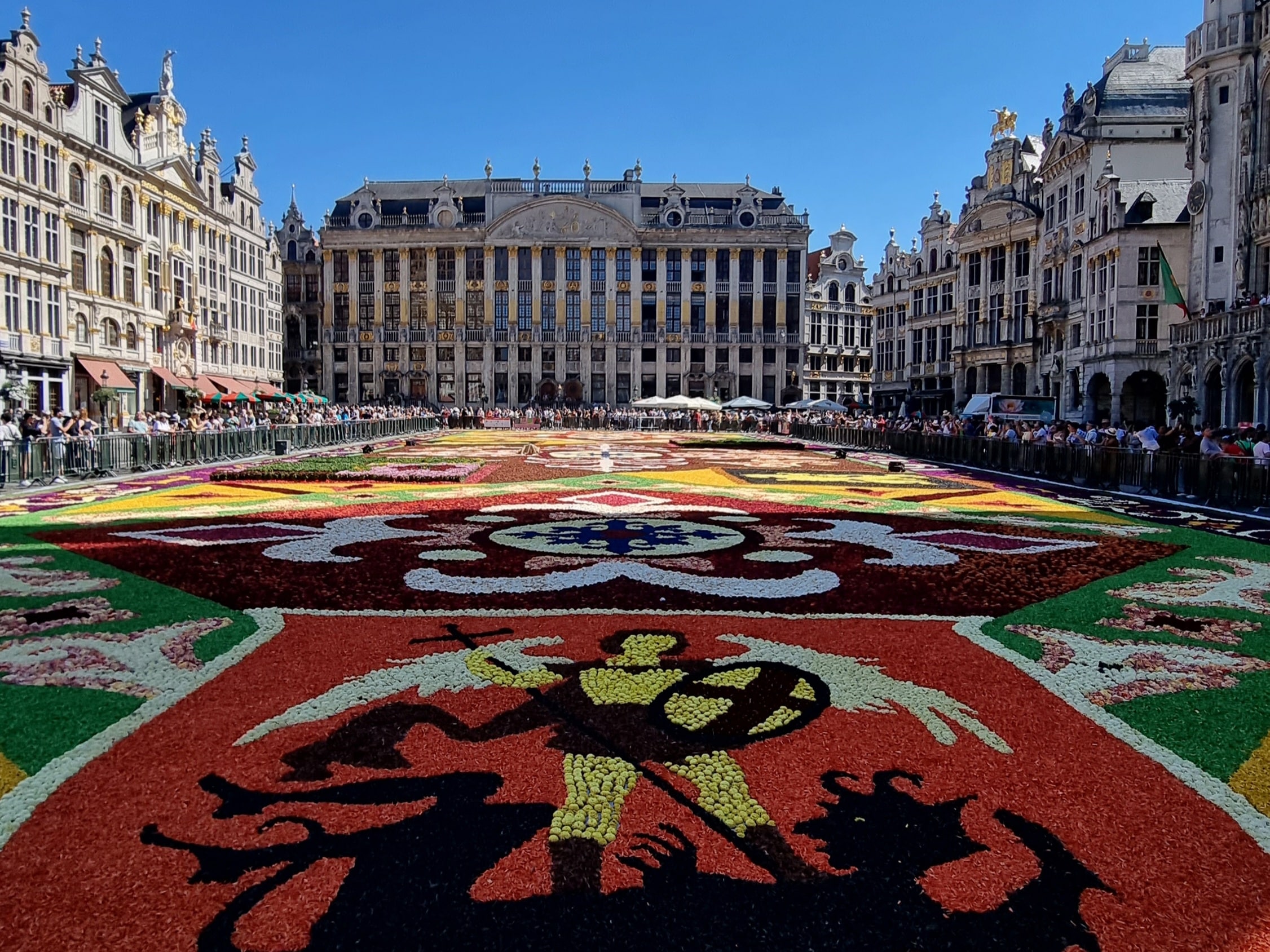 Flower Carpet in Brussels