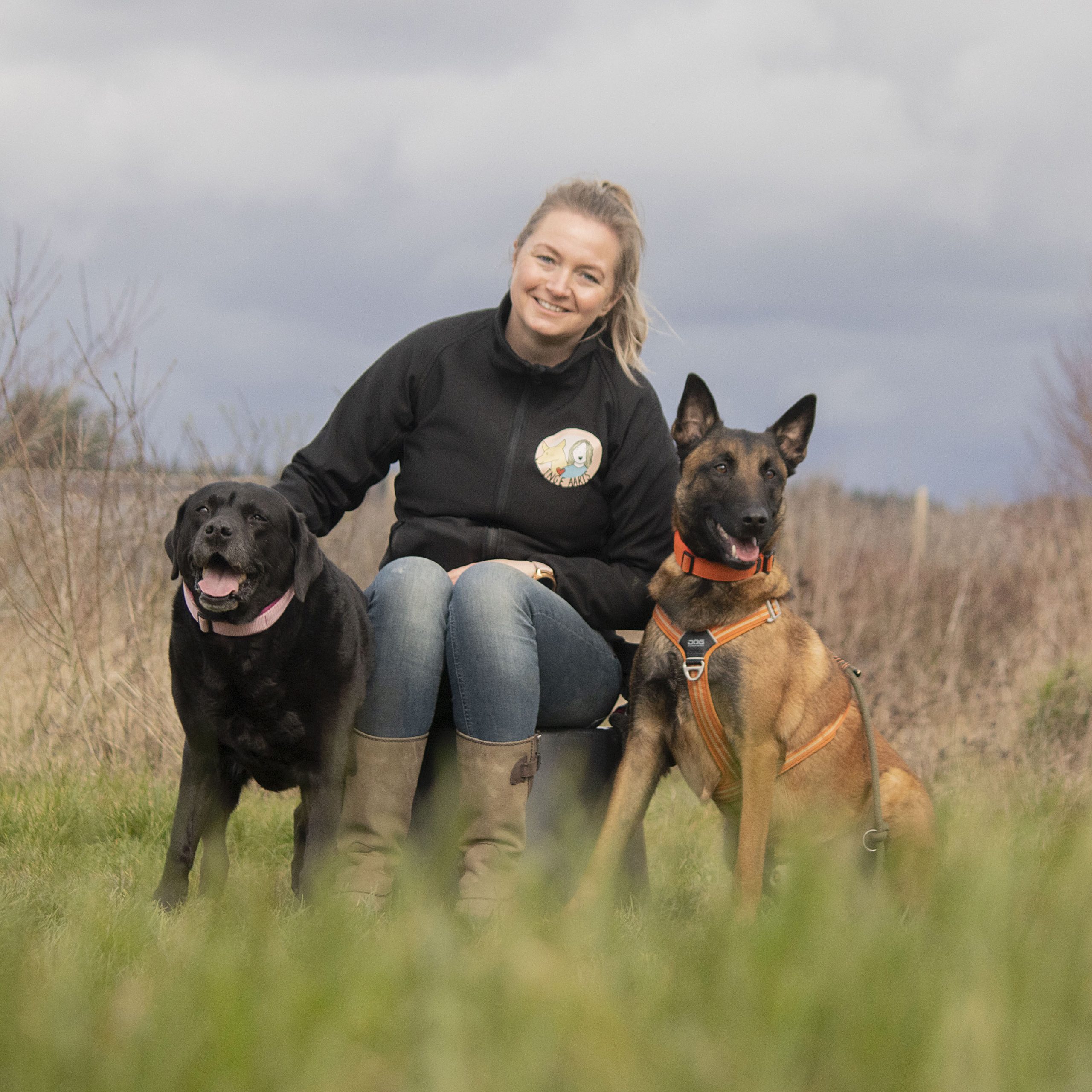 Maatwerk voor uw hond, de hondenschool voor Driel, Elst, Heteren en omstreken.