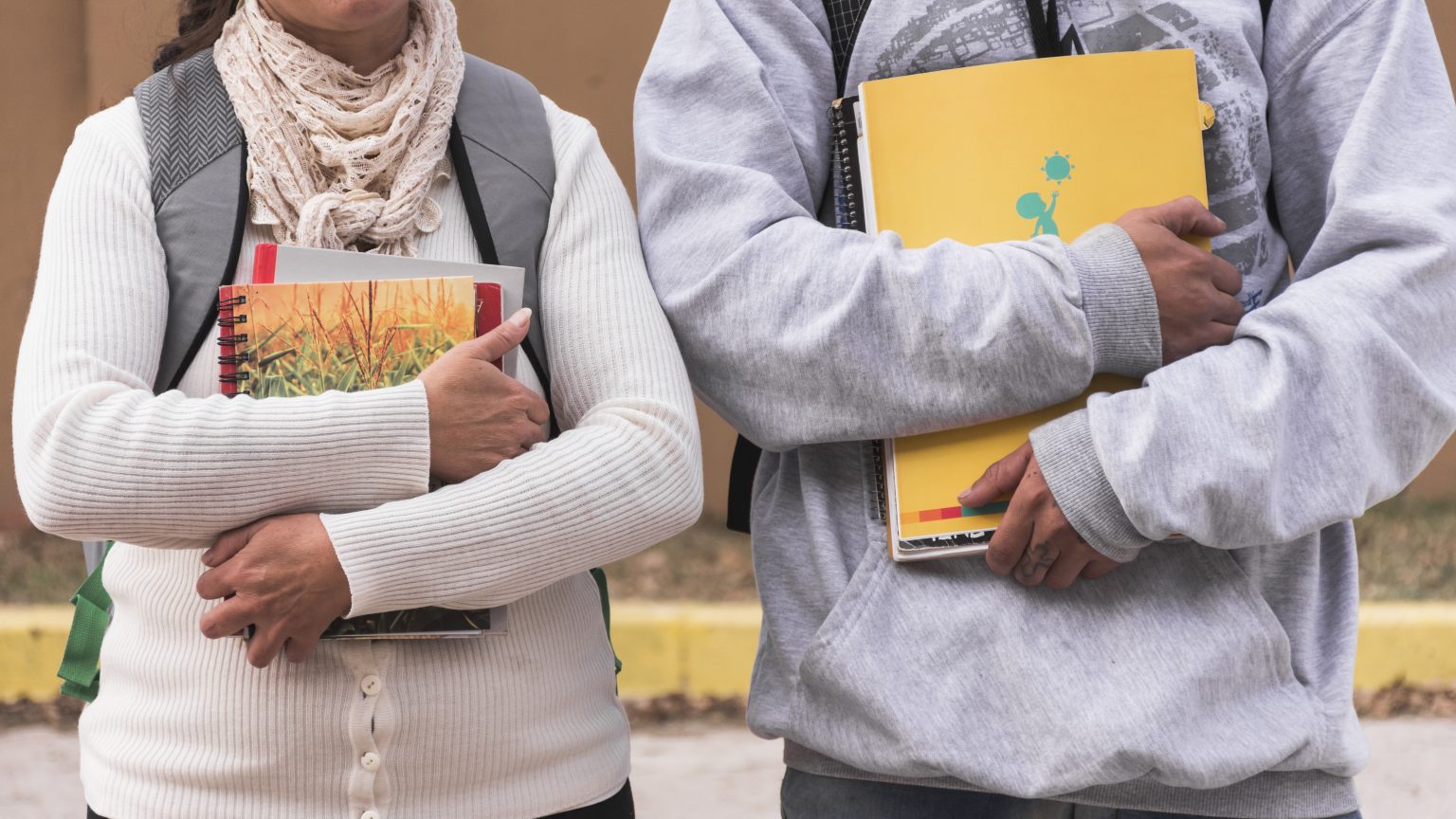 دراسات جدوى لصندوق التنمية الثقافى