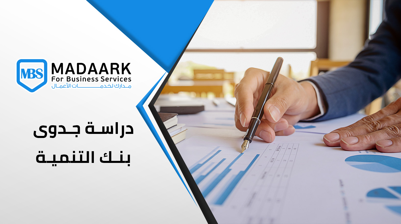 دراسة جدوى بنك التنمية