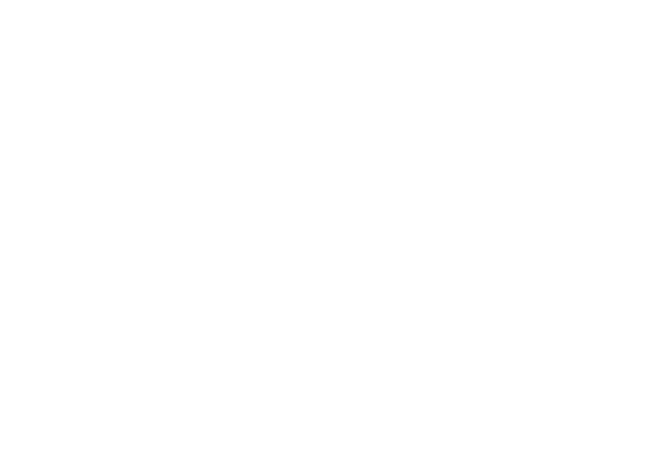 Wallsend Harriers Logo
