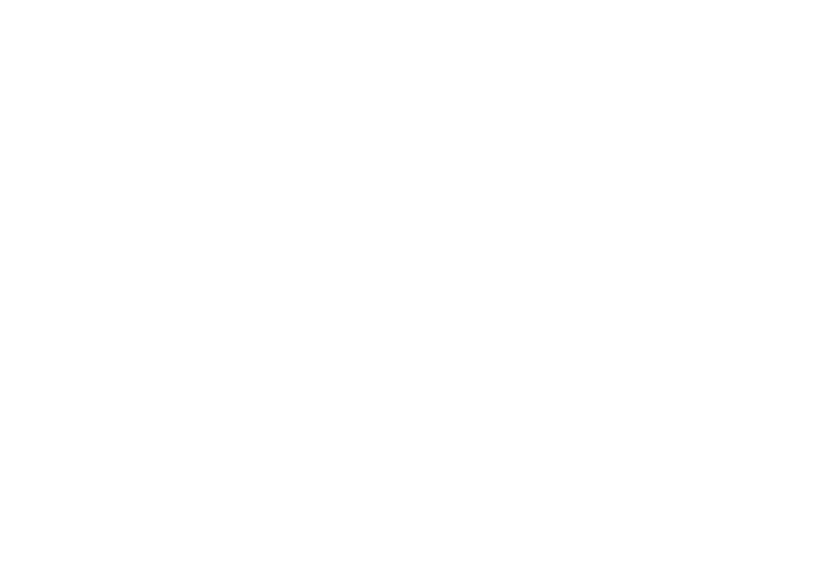 THE SONS Logo