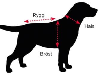 Storleksguide för hund