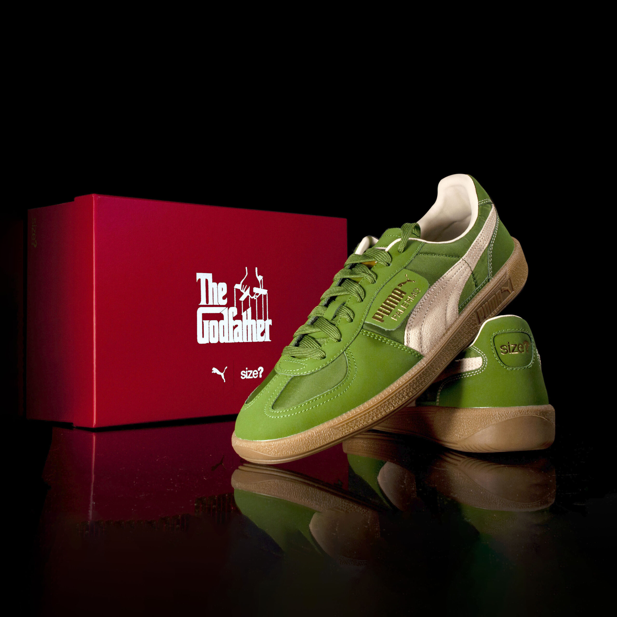 puma004-copy-2-1-scaled