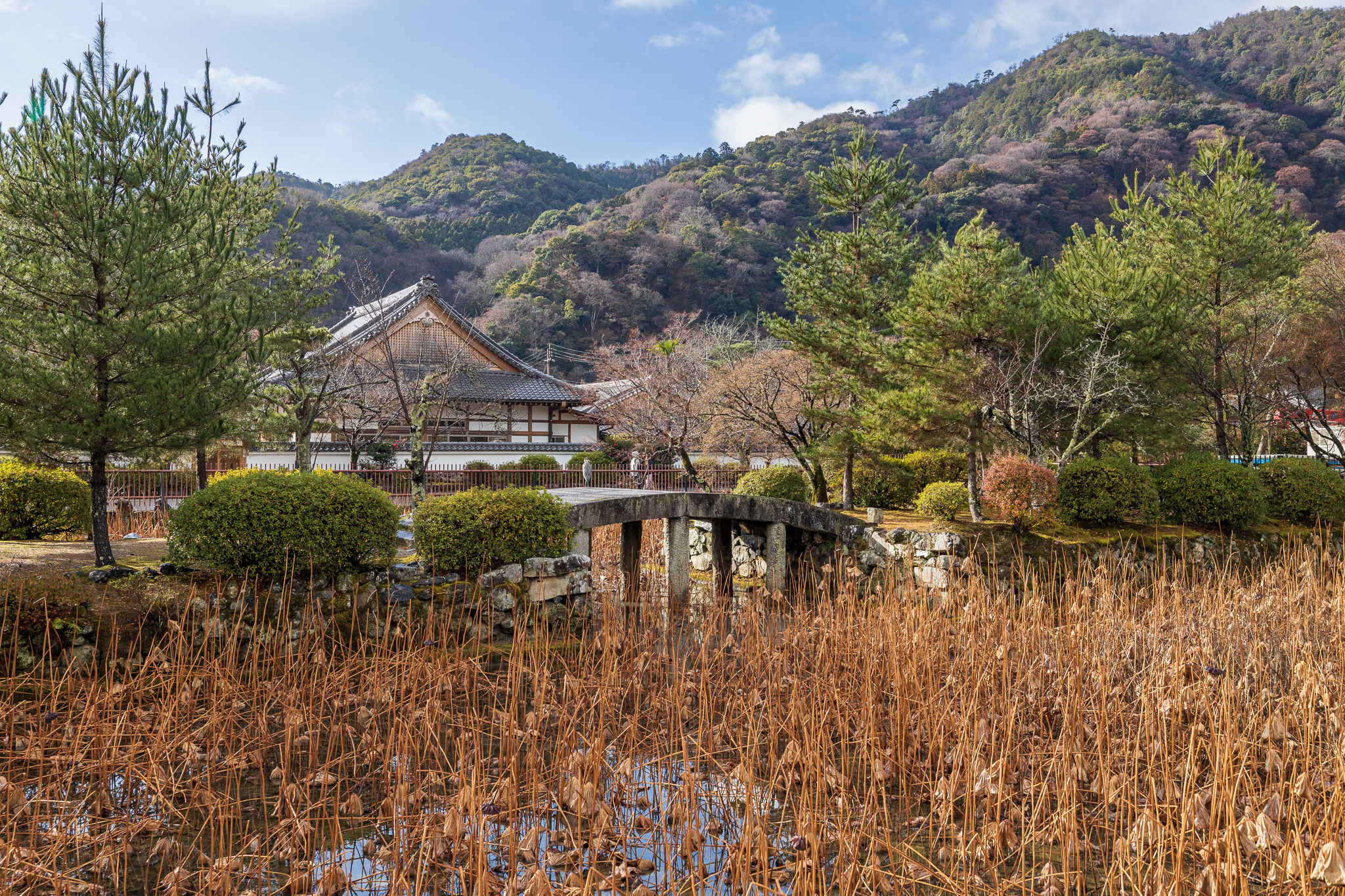 Tenryu-ji Temple, Kyoto